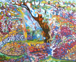Colorful Causland