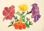 Unknown Watercolor