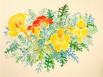 Nasturtiums with Dusty Miller