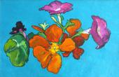 Petunias and Nasturtiums