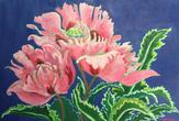 Pink Poppies