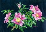 Wild Roses on Dark Green