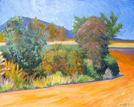 Hot Day at Padilla Bay