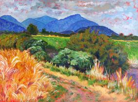 View of San Juans from Padilla Bay