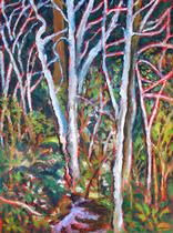 White Trees at Heart Lake